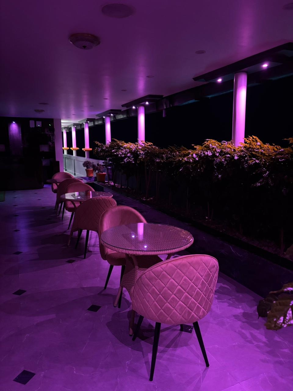 Luxury Nights Above the City